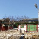 옥터 이미지