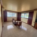 스위트 피피 이미지