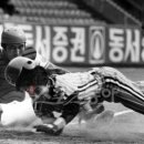 김성갑 카카오 검색결과