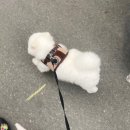 오감쌀롱 이미지