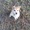 전정금농장 이미지