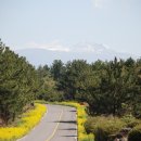 산야별장 이미지