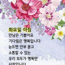 12월19일화요일서울방출석부 이미지