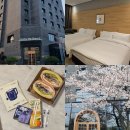 브라더김밥 | 강원도 강릉여행 더홍씨호텔 강릉 숙소 추천 호캉스 후기