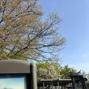 영축산순환산책로(광운대역) | (2026.04.11.sat) 하루일상 일일일상 주말일상 영축산순환산책로 주말산책 동네산책