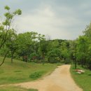 정발산공원 이미지