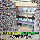 송도국제기구도서관 | 인천 송도 아이랑 가볼만한곳 송도국제도서관! 주차 운영시간 후기!