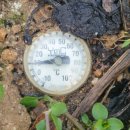 홍이농장 이미지