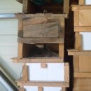 둥지농원 이미지