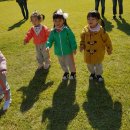 정남농촌체험휴양마을 이미지