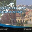 아이비코리아 이미지