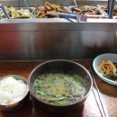 고성공룡나라(통영) 이미지
