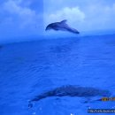 장생포고래박물관 이미지