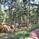 카리스펜션 이미지