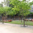 한남초등학교 이미지