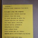 제철과일 청송사과 청송달콤농원 내돈내산 시나노골드사과 황금사과 강력추천!구매후기