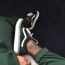 피쉬스쿨 이미지