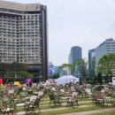 힙독클럽 2기 책읽는 서울광장 오프라인 활동 힙독꽃멍책멍 후기