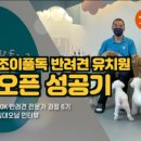 조이풀독 이미지