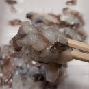 풍양시장 | 풍양수산 구리농수산물 시장 산낙지 시세 광돔우회 포장 후기