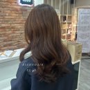 시아헤어 이미지