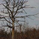 상봉목장 이미지