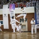 세종의 아침 태권도 네이버블로그