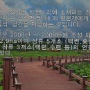 ♬ 숨어우는 바람소리 ♪ 이천 성호호수 연꽃단지 이미지