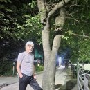 260809 ~0818 (야간 Walking) 이미지