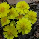 원일초등학교 이미지