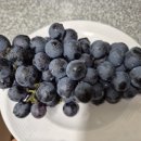 양마경로당 이미지