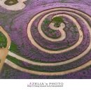 신소양체육공원 이미지