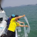 고창수산 투데이안