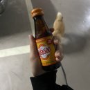 멍타냥 | 카카오 T 펫택시 단독픽업 후기