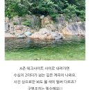 올해는 계곡캠핑장을 못갔네 이미지