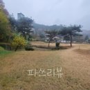 벌교파3