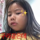 씨몬 이미지