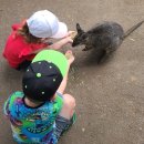 마운틴마트 금성점 | 11월 초, 시드니