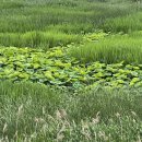 준선농장 이미지