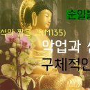 악업과 선업의 구체적인 과보(M135) - 자재스님 이미지