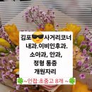 김포하나이비인후과의원 | 양천구 경기 수도권 김포 4만세대 사거리코너 병의원...자리 추천 검진내과 이비인후과 안과 정형외과...