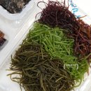 해초과메기 부산점 이미지