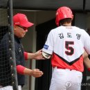 환영 이미지