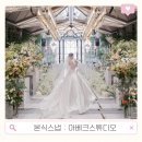 [공지] 아베크스튜디오 본식 스냅 계약 후기 | 청주 웨딩스냅 추천(짝꿍 완료)