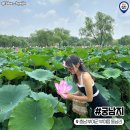 골정지 이미지