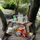 나조스트캠프 이미지