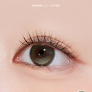 다비치안경 영종하늘도시점 이미지