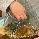 감전동 행정복지센터 이미지