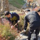 괴산·증평산림조합, 괴산군 산림녹지과와 성불산자연휴양림 가로수 시비작업 실시 이미지