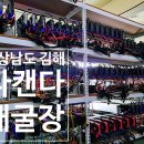 다캔다
